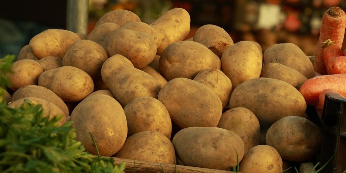 „Bulvių potvynis“ Berlyne: vokiečiai nemokamai dalija tūkstančius tonų bulvių miestiečiams