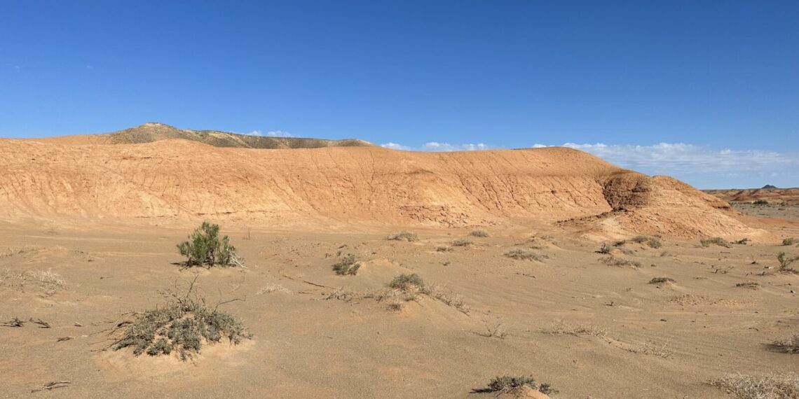 Kinijos „žalioji siena“ atsisuko prieš pačią šalį: palydovai atskleidė netikėtą problemą