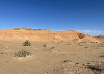 Kinijos „žalioji siena“ atsisuko prieš pačią šalį: palydovai atskleidė netikėtą problemą