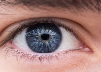 Mokslininkai sukūrė akį primenantį audinį – rezultatai nustebino