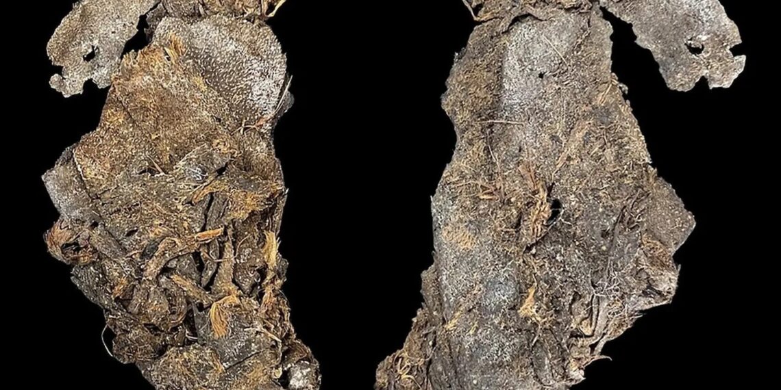 Ledynmečio laikų audinys pribloškė archeologus: radinys gali perrašyti istoriją