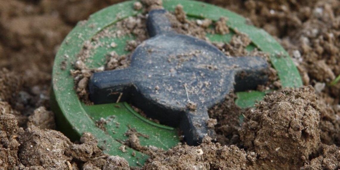 Lenkija svarsto pasitraukti iš minų draudimo sutarties: stiprina rytinės sienos gynybą