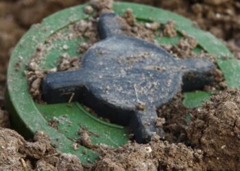 Lenkija svarsto pasitraukti iš minų draudimo sutarties: stiprina rytinės sienos gynybą