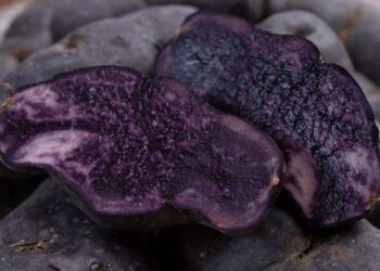 Lietuvoje dar neatrastos violetinės bulvės: „žieminiai trumai“, kainuojantys iki 30 eurų už kilogramą