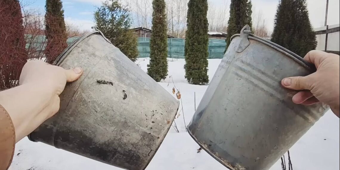 Neišmeskite senų kibirų: jie gali tapti nepakeičiamais pagalbininkais sode