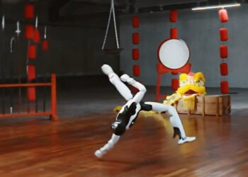 Lenkijos inžinierių kūrinys stebina pasaulį: pristatytas „kung fu“ robotas „Expedition A3“