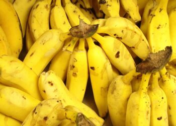 Mėgstamiausias vaisius – pavojuje: klastingas grybelis naikina bananus visame pasaulyje