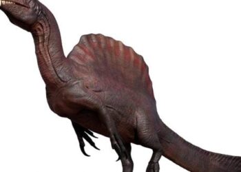 Milžiniškas monstras su keistai ilgu kaukolės snukiu: atskleistas keisčiausias dinozauras istorijoje