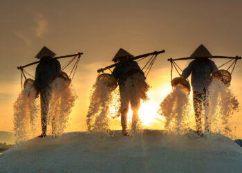 Australijoje aptikti milžiniški druskos klodai: jie gali tapti svarbiu energijos šaltiniu