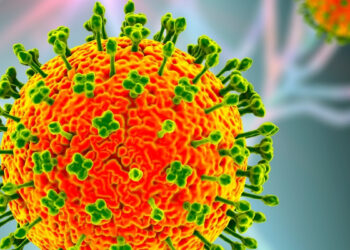 Mirtinas Nipah virusas parklupdė Indiją: Aziją apėmė panika, baiminamasi naujos pandemijos