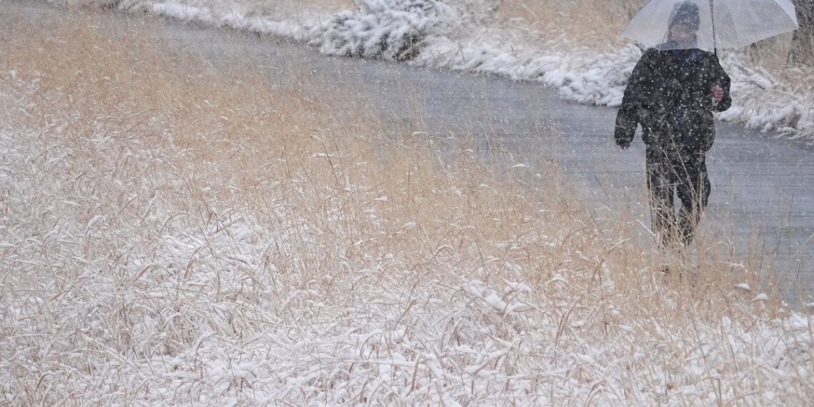 Mirtina žiema Japonijoje: sniego masės traiško žmones