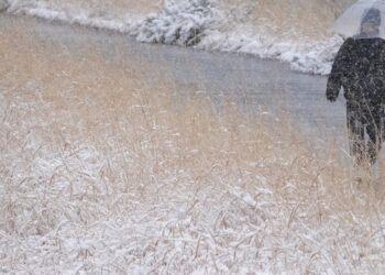 Mirtina žiema Japonijoje: sniego masės traiško žmones
