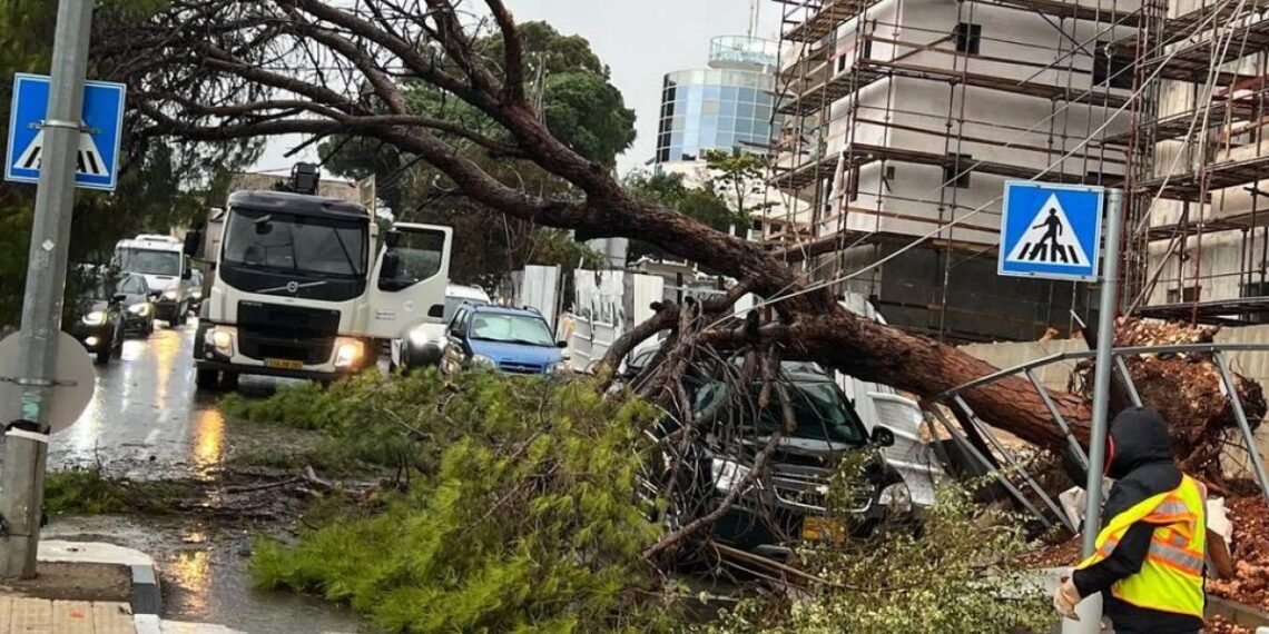 „Nilsas“ smogė visa jėga: Pietų Prancūzijoje – šimtai tūkstančių be elektros