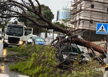 „Nilsas“ smogė visa jėga: Pietų Prancūzijoje – šimtai tūkstančių be elektros