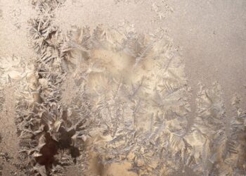 Niujorką sukaustė mirtini šalčiai: arktinė žiema nusinešė dešimtis gyvybių