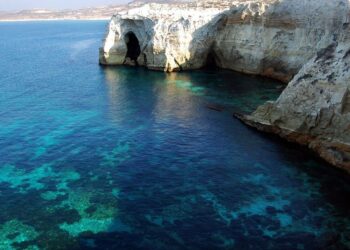 Viduržemio jūroje aptikti pavojingi toksinai: grėsmė žuvims ir poilsiautojams