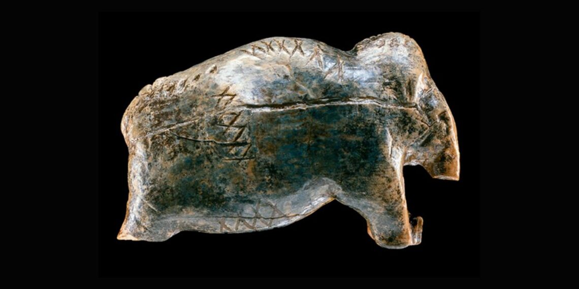 Mįslingi 40 tūkst. metų senumo ženklai: mokslininkai pagaliau atskleidė tikrąją jų paskirtį