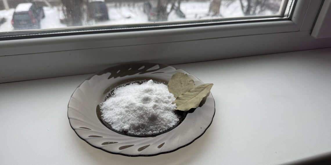 Močiutės gudrybė su druska ir lauro lapais: paprastas triukas, kurį atranda vis daugiau žmonių