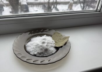 Močiutės gudrybė su druska ir lauro lapais: paprastas triukas, kurį atranda vis daugiau žmonių