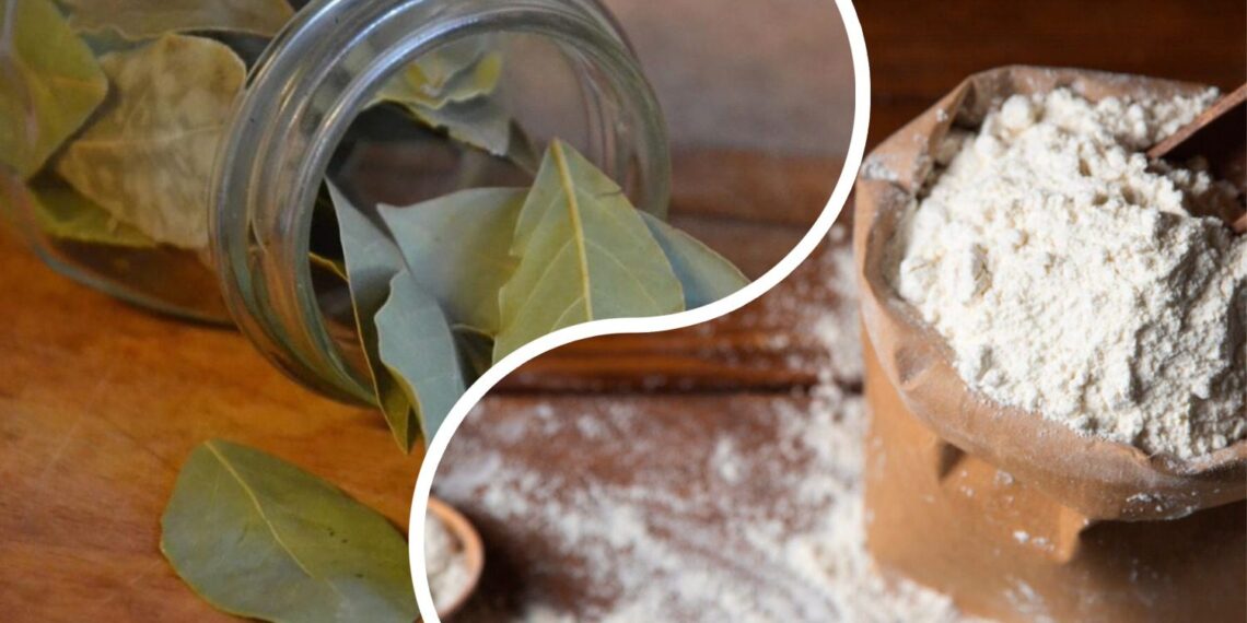 Močiutės triukas: lauro lapai miltuose gali išgelbėti nuo nemalonumų