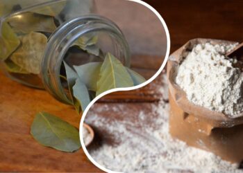 Močiutės triukas: lauro lapai miltuose gali išgelbėti nuo nemalonumų
