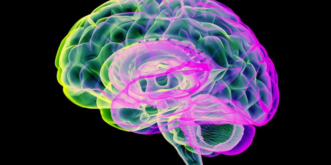 Mokslininkai apstulbę: anglies dioksido „impulsai“ netikėtai išvalo Parkinsono pažeistas smegenis