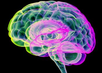 Mokslininkai apstulbę: anglies dioksido „impulsai“ netikėtai išvalo Parkinsono pažeistas smegenis