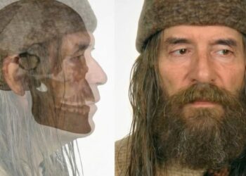 Mokslininkai atgaivino 4000 metų senumo airio veidą: netikėta išvaizda nustebino visus