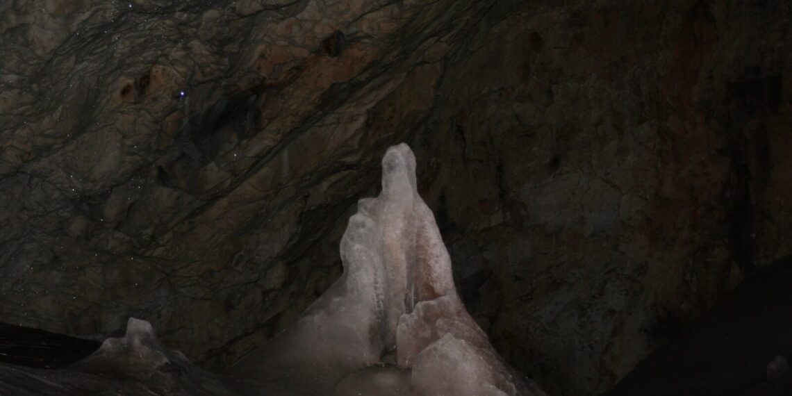 Mokslininkai atgaivino tūkstantmečius įšalusias bakterijas: jų paskirtis nustebino