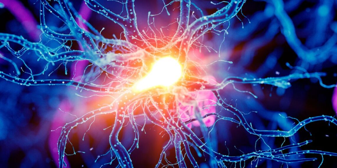 Mokslininkai šokiruoti: smegenyse slypi mygtukas, panaikinantis nuovargį