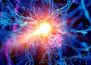 Mokslininkai šokiruoti: smegenyse slypi mygtukas, panaikinantis nuovargį