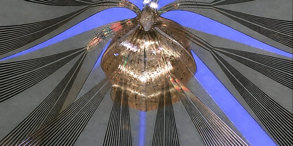 91 % tikslumu: naujas 3D tinklas „perskaito“ mini smegenų signalus