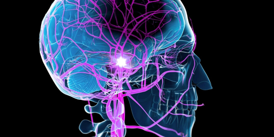 Mokslininkai atskleidė netikėtą kasdienį įprotį, kuris gali ženkliai pagreitinti atsigavimą po insulto