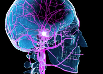 Mokslininkai atskleidė netikėtą kasdienį įprotį, kuris gali ženkliai pagreitinti atsigavimą po insulto