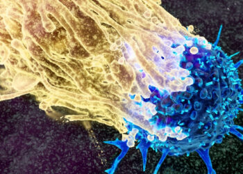 Mokslininkai pristatė planą, kaip sustabdyti vėžį dar prieš jam atsirandant