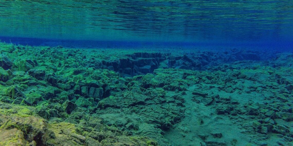 Afrika skyla: mokslininkai prognozuoja naujo vandenyno gimimą