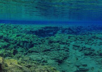 Afrika skyla: mokslininkai prognozuoja naujo vandenyno gimimą