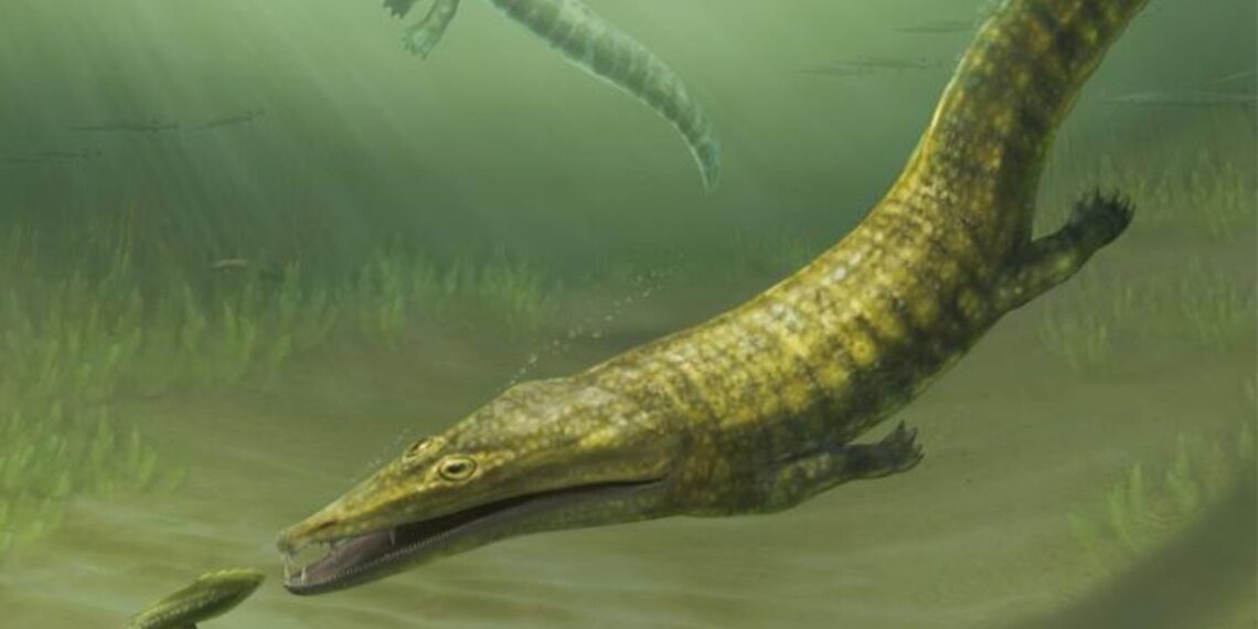 Mokslininkai nustebinti: atrasti prieš 250 mln. metų po pasaulio vandenynus klajoję jūrų plėšrūnai