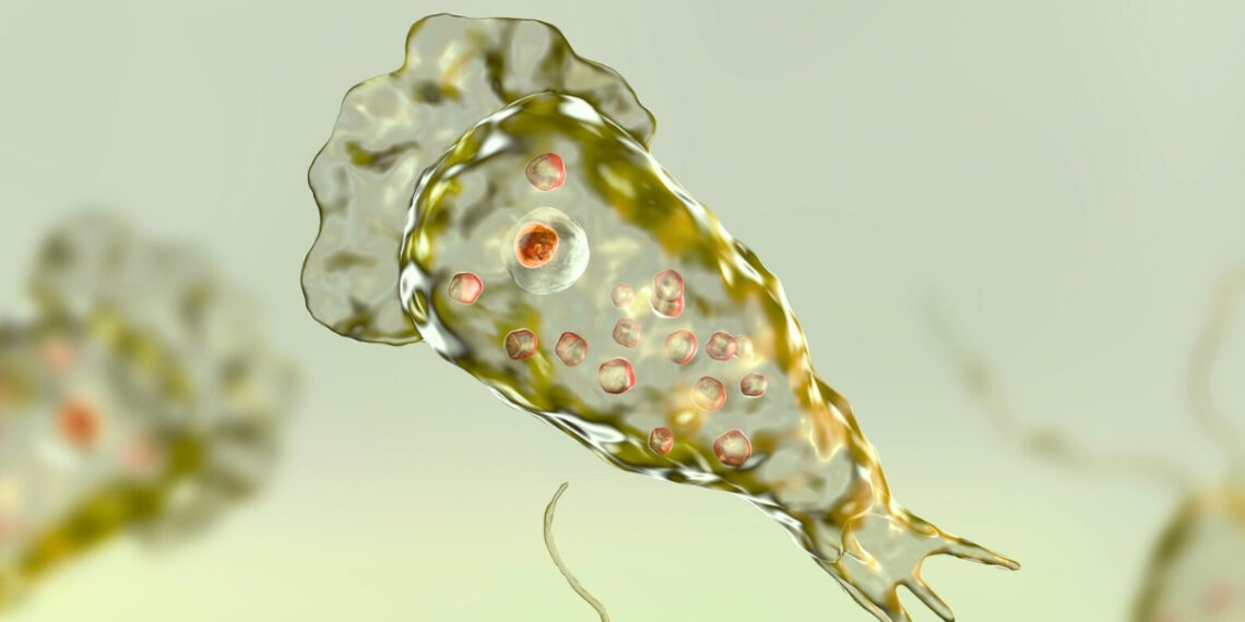 Mokslininkai perspėja: pasaulį gali užklupti nauja mirtina grėsmė – smegenis ėdančios amebos