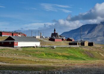 Arktį gali užplūsti tūkstančiai naujų rūšių – mokslininkai įspėja apie grėsmę