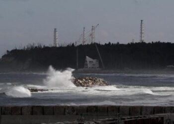 Mokslininkai po Fukušimos „mirusiais“ reaktoriais aptiko keistą radinį, keliantį naują baimę