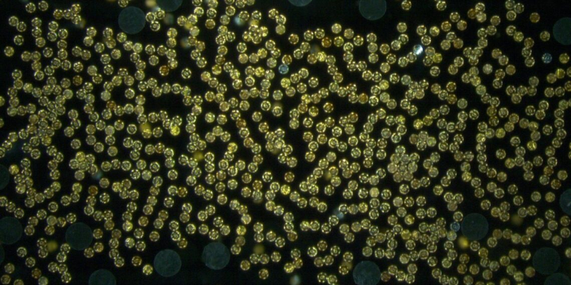 Mokslininkų proveržis: mikrorobotai pakelia objektus, 45 tūkst. kartų sunkesnius už juos pačius