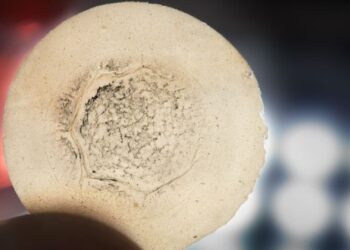 Mokslininkai sukūrė naują nanoceliuliozės filtrą: retuosius metalus galima išgauti be nuodų