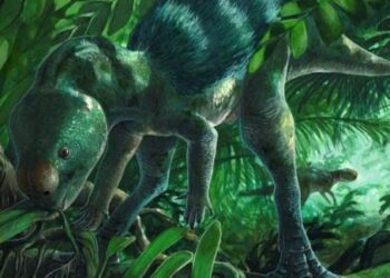Mokslininkai atrado miniatiūrinius dinozaurus, kurie prieš 120 mln. metų siekė žmogui vos iki kelių