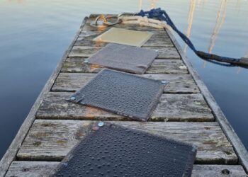 Mokslininkai nustebino: iš žemės ūkio atliekų sukūrė medžiagą, galinčią pakeisti plastiką