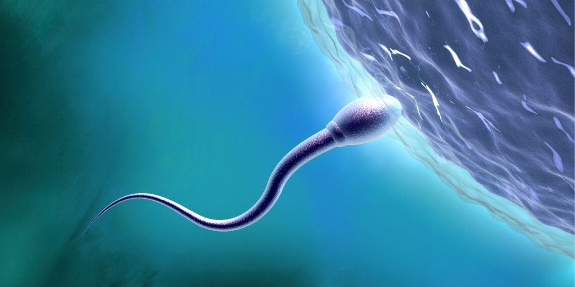 Seksas kosmose? Mokslininkų išvados gali pakeisti žmonijos ateitį