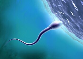 Seksas kosmose? Mokslininkų išvados gali pakeisti žmonijos ateitį