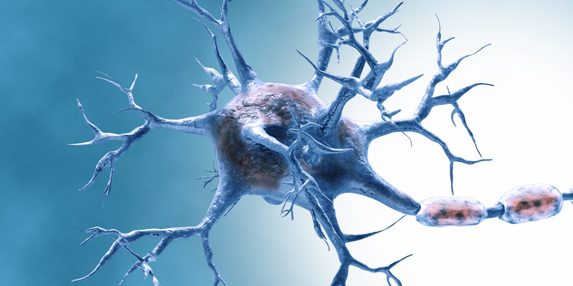 Mokslininkai šokiruoti: atrastas baltymas gali „atjauninti“ senstančias smegenis