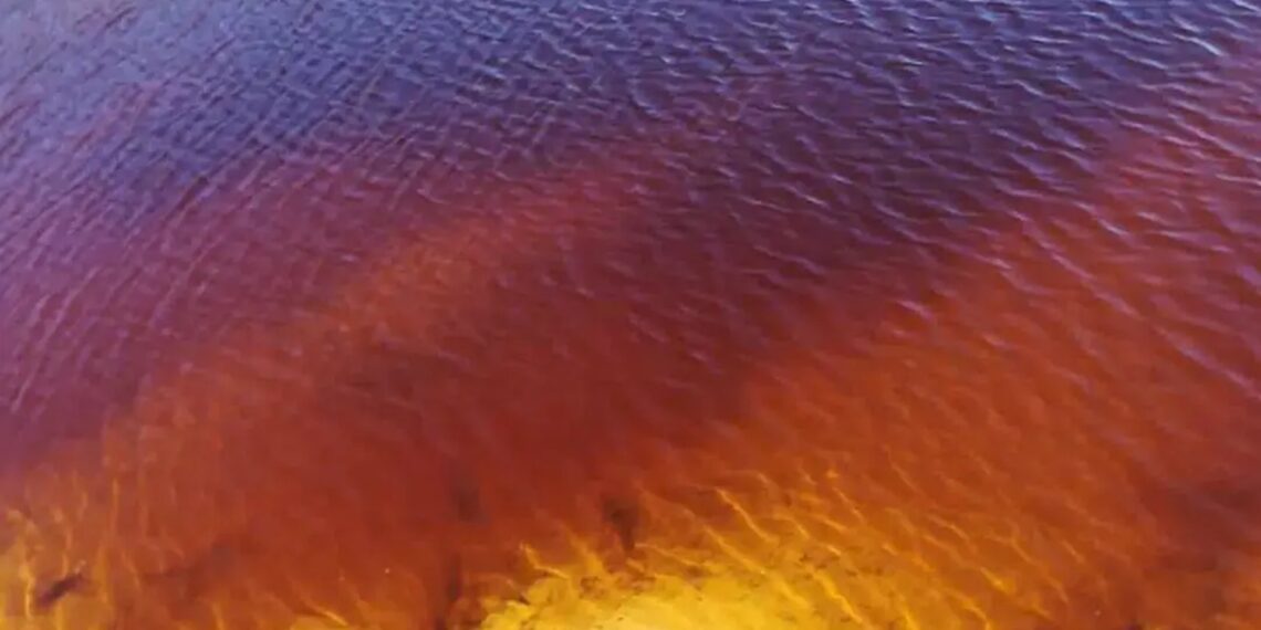 Mokslininkai šokiruoti: retas geležies mineralas netikėtai įkalina chromą ir kaupia anglį dirvožemyje