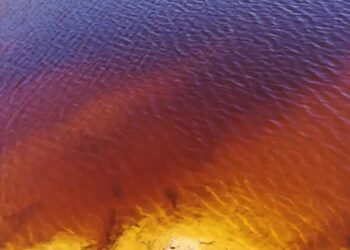 Mokslininkai šokiruoti: retas geležies mineralas netikėtai įkalina chromą ir kaupia anglį dirvožemyje